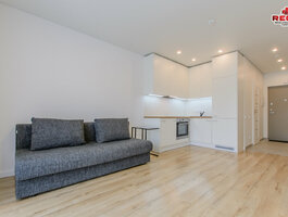 1 room apartment Vilniuje, Šnipiškėse, Ozo g.