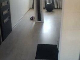 Parduodamas 4 kambarių butas Klaipėdoje, Alksnynėje, Alksnynės g.