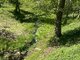 Parduodamas 5 kambarių butas Druskininkų sav., Druskininkuose, Šiltnamių g. (3 nuotrauka)