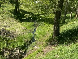 5 rooms apartment for sell Druskininkų sav., Druskininkuose, Šiltnamių g.