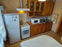 1 room apartment for rent Kaune, Eiguliuose, Geležinio Vilko g.