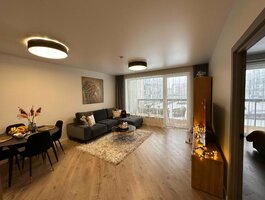 2 rooms apartment for rent Vilniuje, Lazdynėliuose, Lazdynėlių g.
