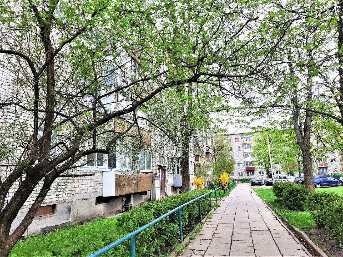 1 room apartment for rent Vilniuje, Naujamiestyje, Skroblų g.