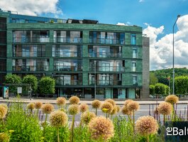 4 room apartment Vilniuje, Šnipiškėse, Olimpiečių g.