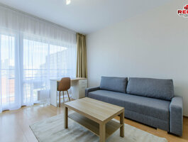 2 room apartment Vilniuje, Šiaurės miestelis, Kazimiero Ladygos g.