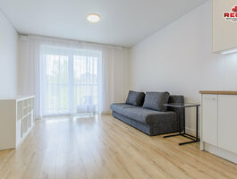 1 room apartment for rent Vilniuje, Šnipiškėse, Ozo g.