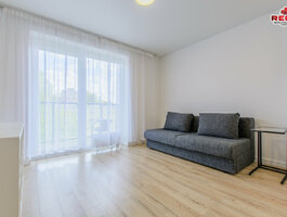 1 room apartment for rent Vilniuje, Šnipiškėse, Ozo g.