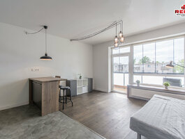 2 room apartment Vilniuje, Antakalnyje, Antakalnio g.