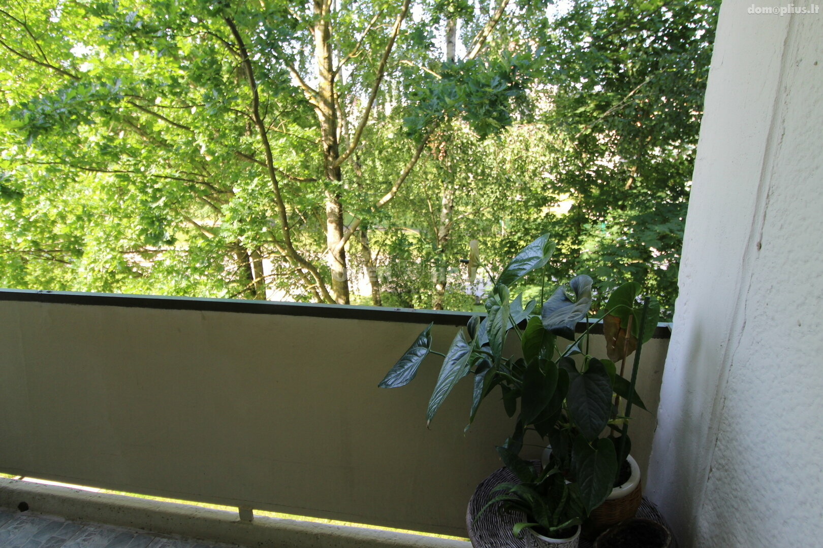 1 room apartment for rent Šiauliuose, Dainiuose, Gegužių g.