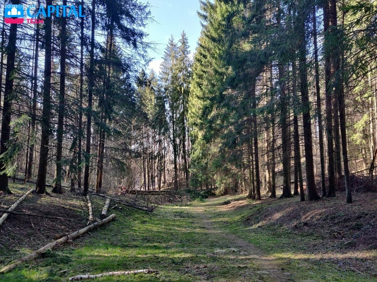 Parduodamas 3 kambarių butas Vilniuje, Kalnėnuose