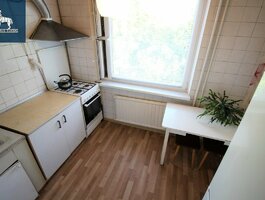 2 kambarių butas Vilniuje, Viršuliškėse, Viršuliškių g.