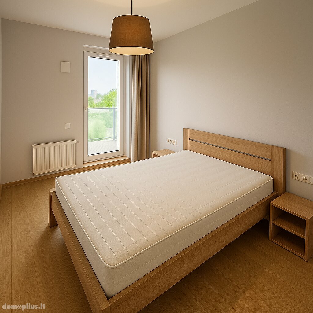 2 kambarių buto nuoma Vilniuje, Šnipiškėse, Rinktinės g.