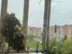 2 rooms apartment for sell Klaipėdoje, Bandužiuose, Kuncų g. (10 picture)