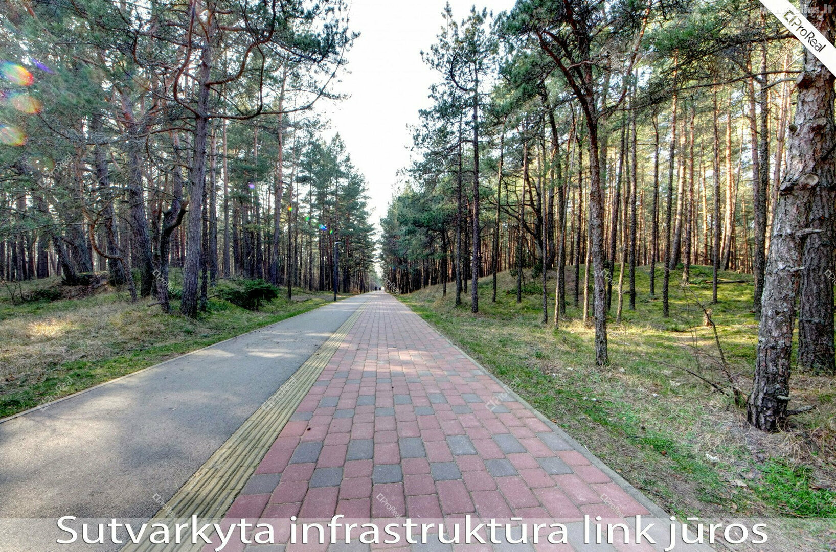 Parduodamas 1 kambario butas Vilnius, Vilniuje, Vytauto g.