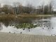 Parduodamas 1 kambario butas Klaipėdoje, Kauno, Kauno g. (6 nuotrauka)