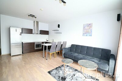 2 kambarių buto nuoma Vilniuje, Pašilaičiuose, Sviliškių g.