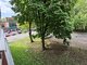 2 rooms apartment for sell Alytuje, Putinuose, Lauko g. (13 picture)