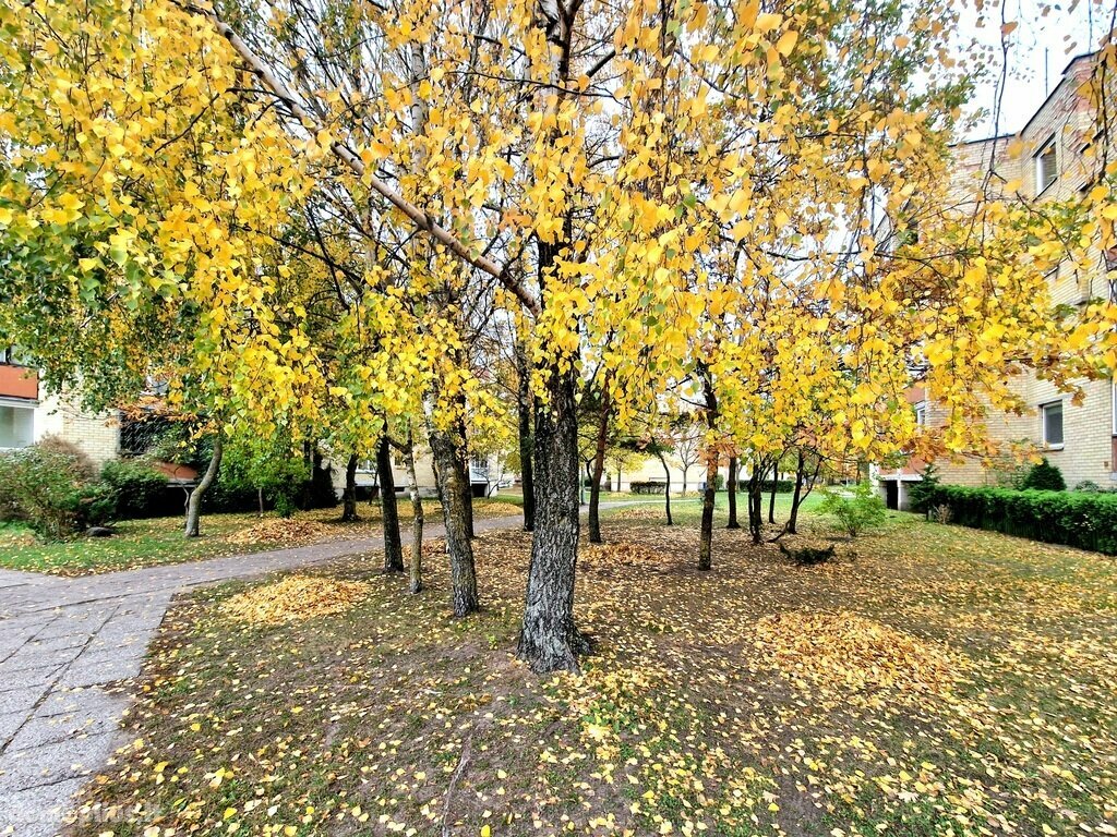 Продается 2 комнатная квартира Palangoje, Bangų g.