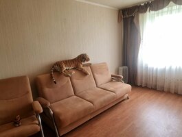 Parduodamas 3 kambarių butas Klaipėdoje, Baltijos, Baltijos pr.