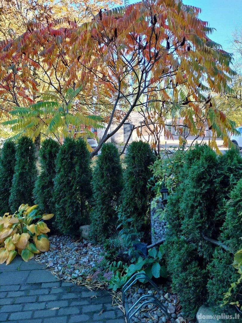1 room apartment for sell Palangoje, Ganyklų g.