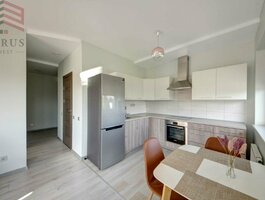 2 kambarių buto nuoma Vilniuje, Šnipiškėse, Trimitų g.