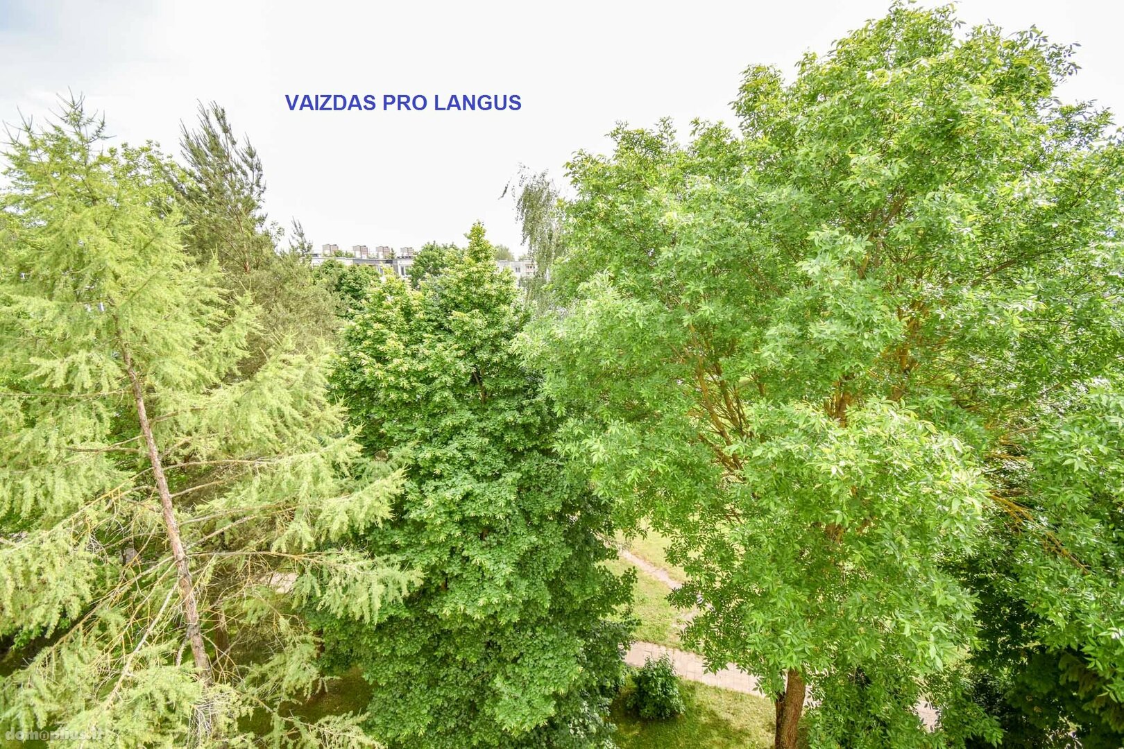 Parduodamas 1 kambario butas Panevėžyje, Klaipėdos, Parko g.
