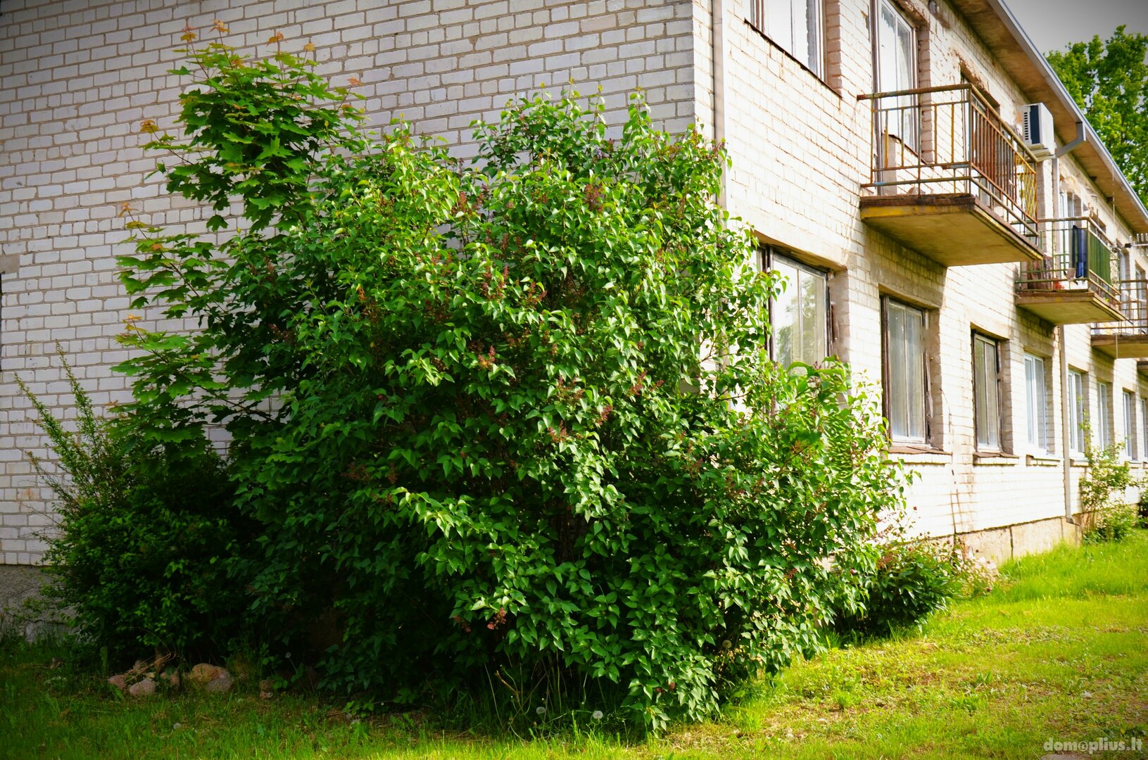 Parduodamas 3 kambarių butas Kaišiadorių rajono sav., Kalviuose, Lapainios g.