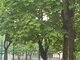 Продается 1 комнатная квартира Klaipėdoje, Sportininkuose, Sportininkų g. (4 Фотография)