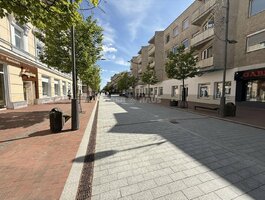 2 rooms apartment for sell Šiauliuose, Centre, Vilniaus g.