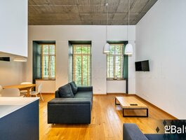 1 room apartment for rent Vilniuje, Senamiestyje, Dainavos g.