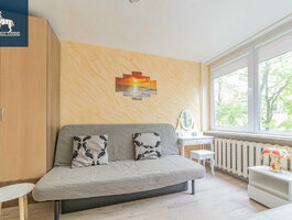 1 room apartment Vilniuje, Antakalnyje, V. Grybo g.