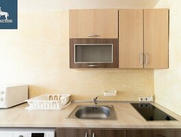 1 room apartment for rent Vilniuje, Antakalnyje, V. Grybo g.