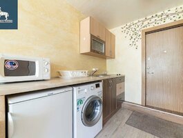 1 room apartment for rent Vilniuje, Antakalnyje, V. Grybo g.