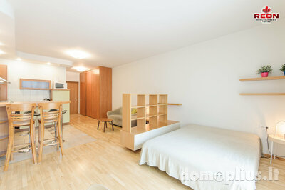 1 room apartment for rent Vilniuje, Žvėryne, Lūšių g.