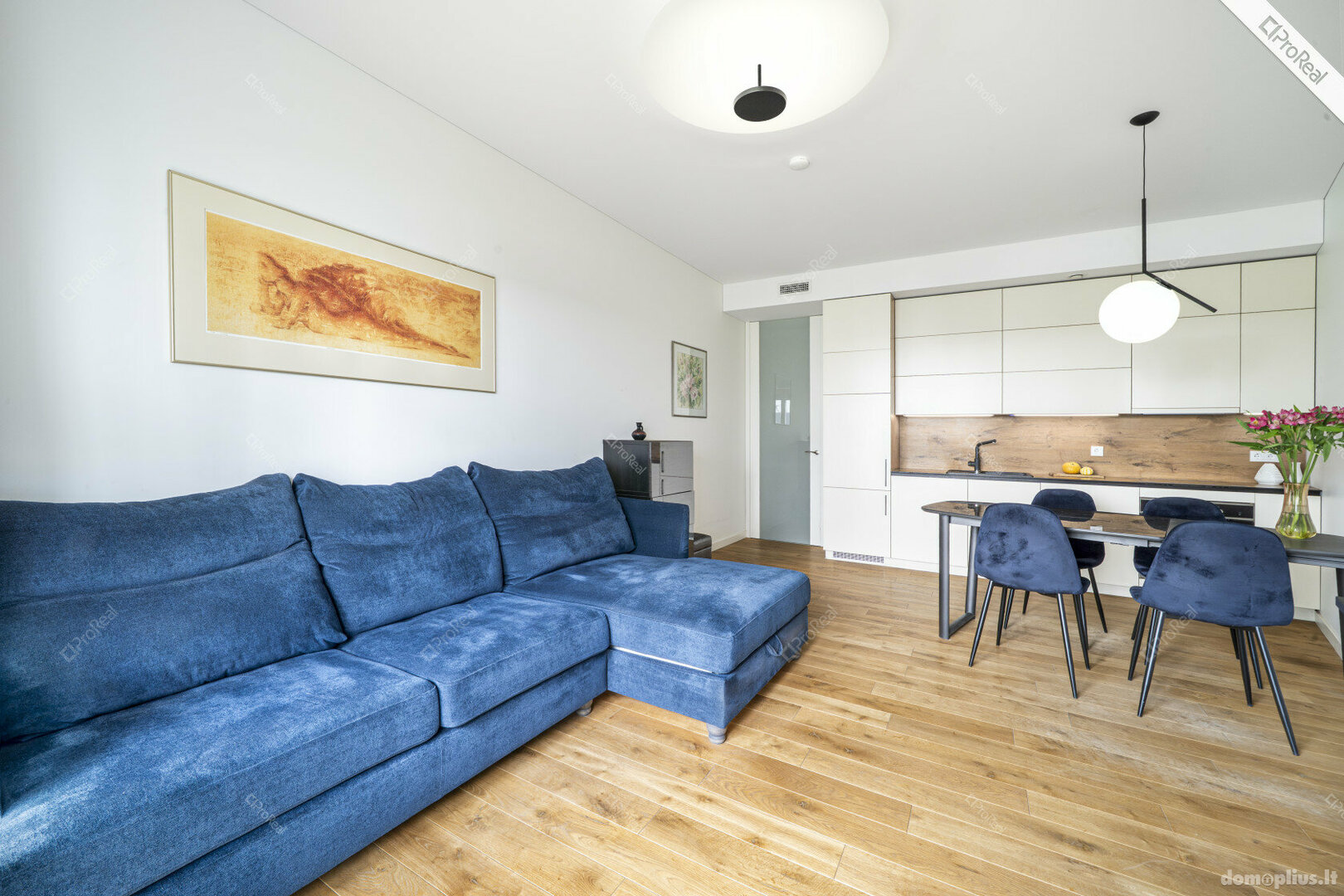 3 rooms apartment for sell Vilniuje, Paupyje, Aukštaičių g.