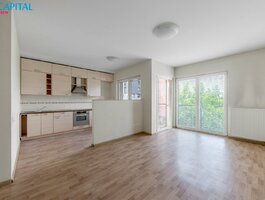 Продается 1 комнатная квартира Vilniuje, Naujamiestyje, Savanorių pr.
