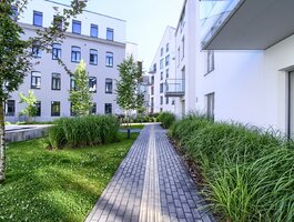 3 комнатная квартира Vilniuje, Užupyje
