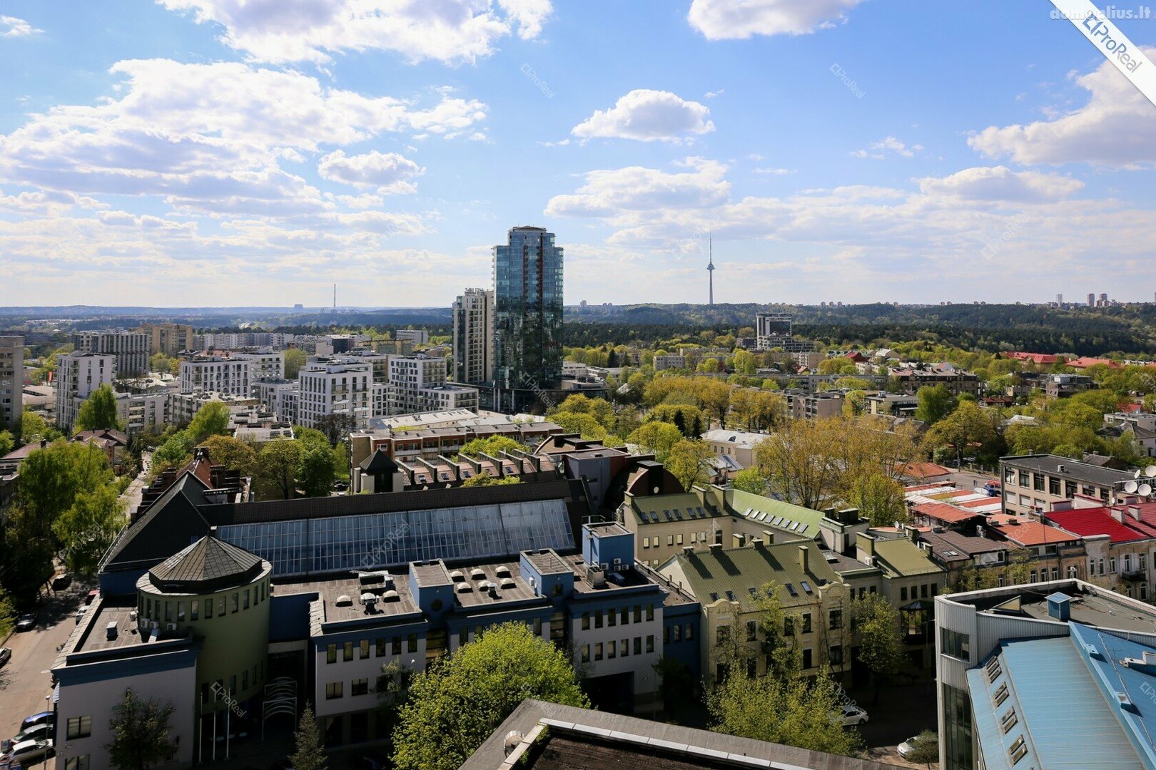 1 kambario buto nuoma Vilniuje, Naujamiestyje, A. Vivulskio g.