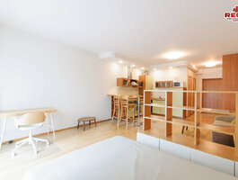 1 room apartment for rent Vilniuje, Žvėryne, Lūšių g.