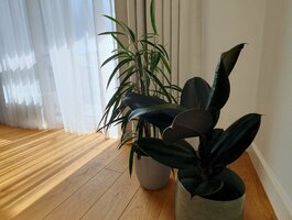 Parduodamas 1 kambario butas Vilniuje, Šnipiškėse, Deltuvos g.