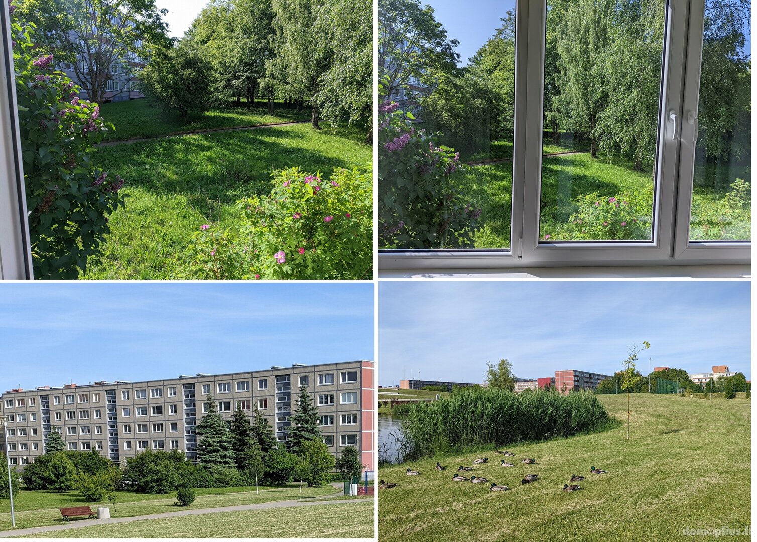 Parduodamas 2 kambarių butas Klaipėdoje, Laukininkuose, Laukininkų g.