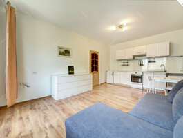 1 room apartment Vilniuje, Fabijoniškėse
