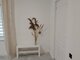 1 room apartment for rent Panevėžyje, Centre, Algirdo g. (4 picture)