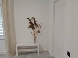 1 room apartment for rent Panevėžyje, Centre, Algirdo g.