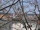 Сдаю 1 комнатную квартиру Vilniuje, Senamiestyje, Aguonų g. (13 Фотография)