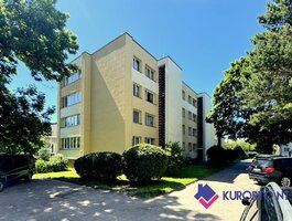 1 room apartment Palangoje, Senojo Turgaus g.