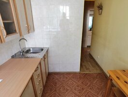 2 kambarių buto nuoma Alytuje, Dainavoje, Vilties g.