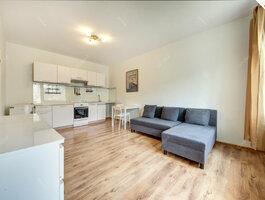 1 room apartment for sell Vilniuje, Fabijoniškėse