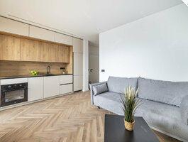 1 room apartment for sell Vilniuje, Lazdynėliuose, Lietaus g.