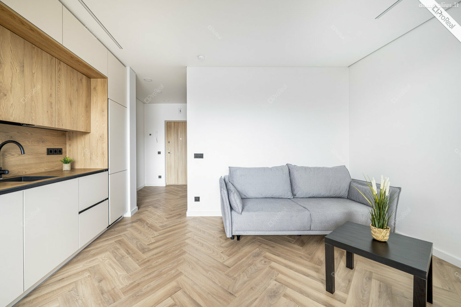 1 room apartment for sell Vilniuje, Lazdynėliuose, Lietaus g.